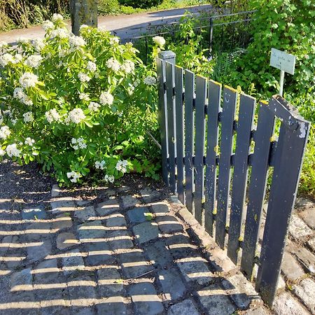Hoymille Les Jardins B&B 외부 사진