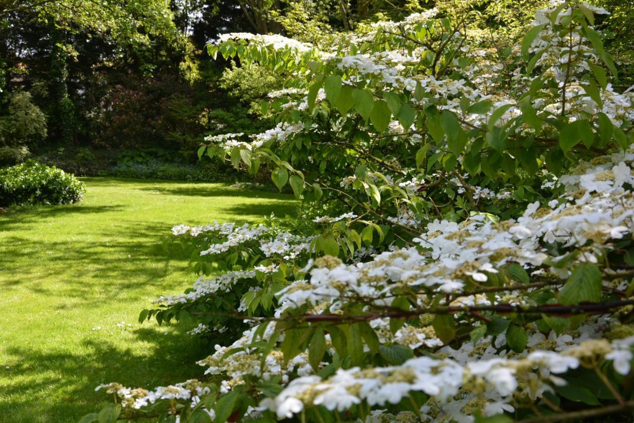 Hoymille Les Jardins B&B 외부 사진